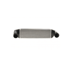 Радіатор BMW X3 (E83) 2.0D-3.0D 05-11 N47,M57 інтеркулера NRF 30975